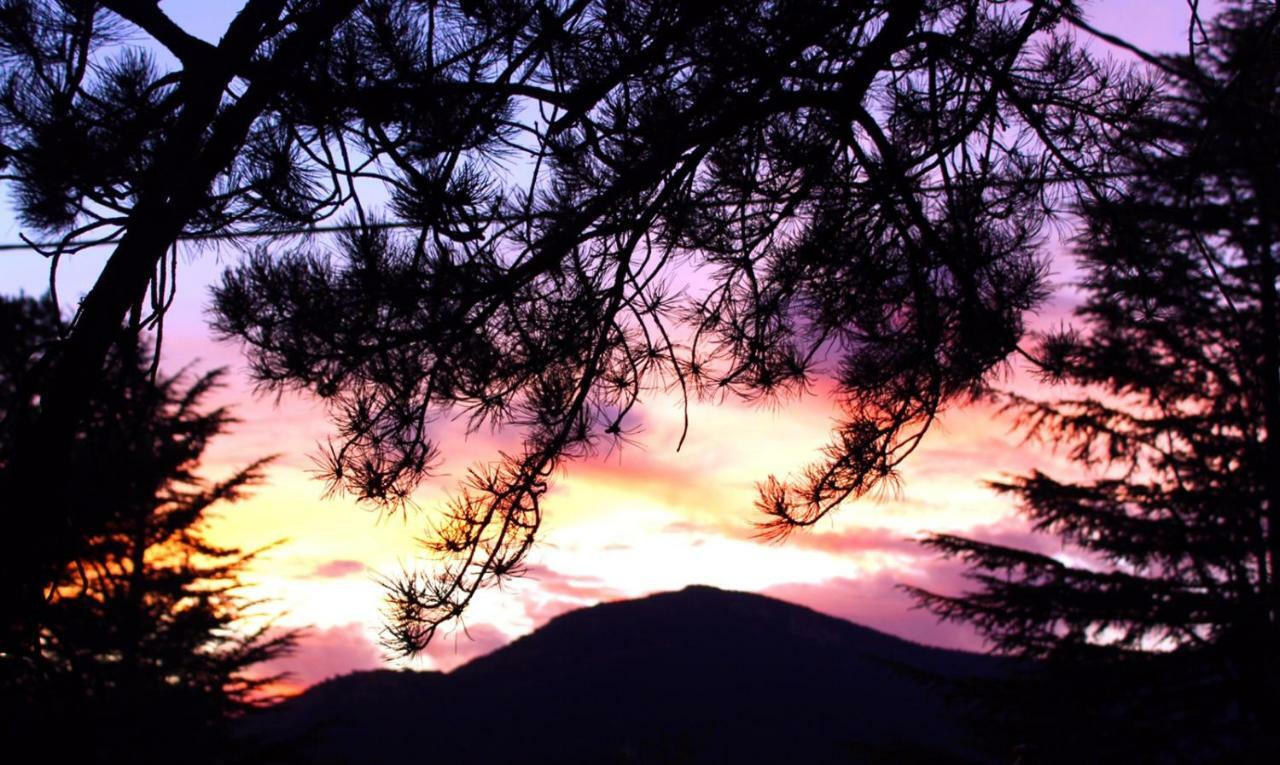 Appartamento La Holandesa Cercedilla Esterno foto